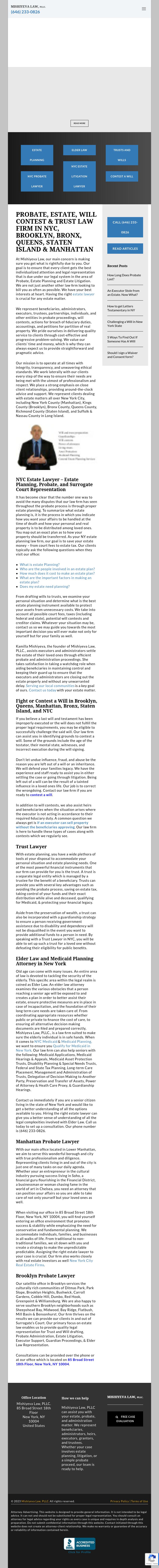 Mishiyeva Law, PLLC. - New York NY Lawyers