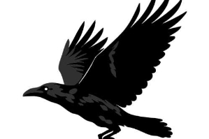 Raven Injury Law, P.C.