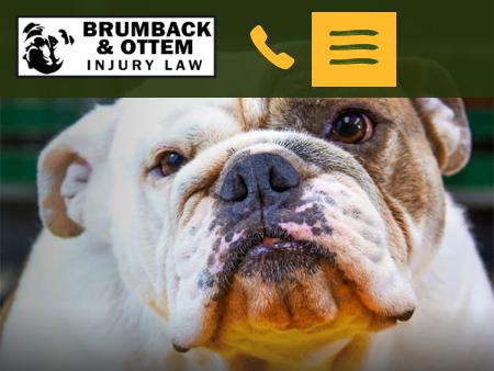 Brumback & Ottem Injury Law