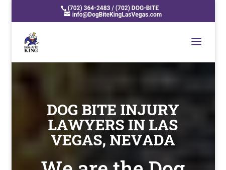 Dog Bite King Law Group