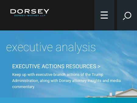 Dorsey & Whitney LLC