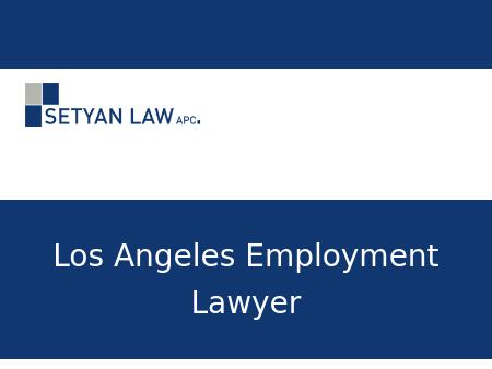 Employment Lawyers