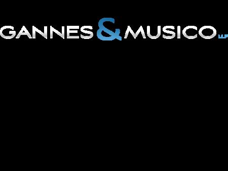Gannes & Musico, LLP