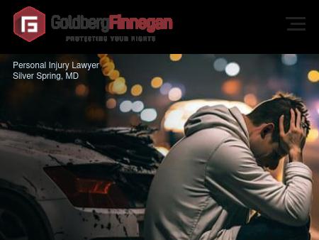 Goldberg Finnegan