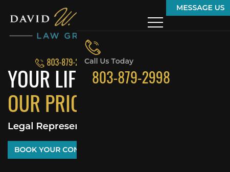 Greenville Child Custody Lawyers