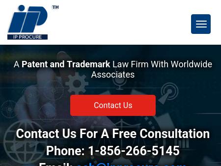 IP Legal Services