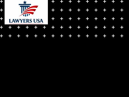 Lawyers in America