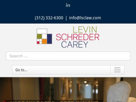 Levin Schreder & Carey Ltd