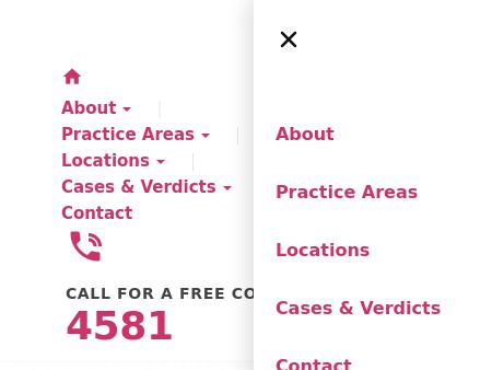 Levine Law LLC