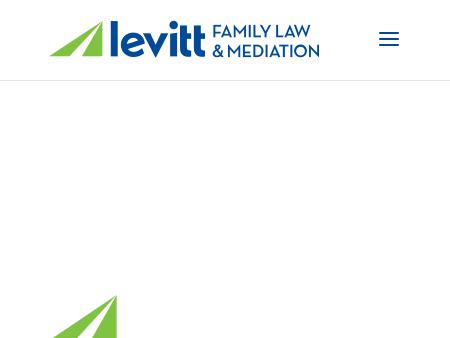 Levitt Law Group