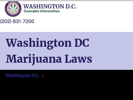 Washington DC Marijuana Laws 