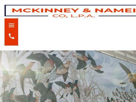 McKinney & Namei, L.P.A.