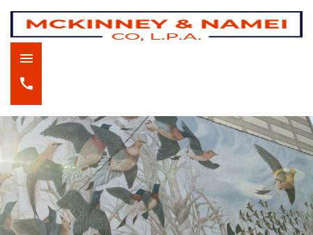 McKinney & Namei, L.P.A.