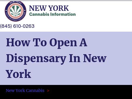 New York Marijuana Business