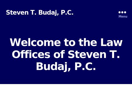 Steven T Budaj PC