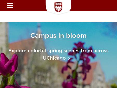 University Of Chicago