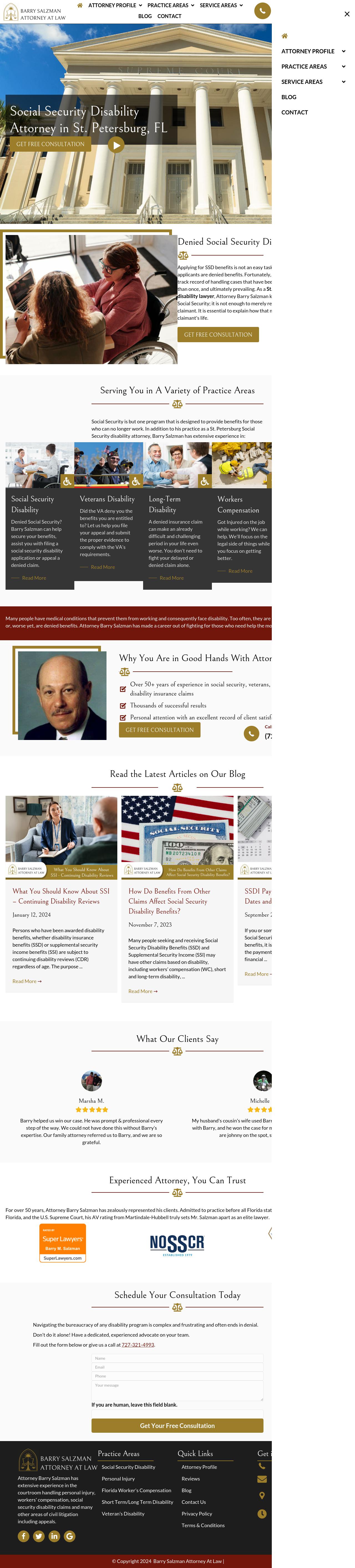 Barry Salzman Attorney at Law - St. Petersburg FL Lawyers