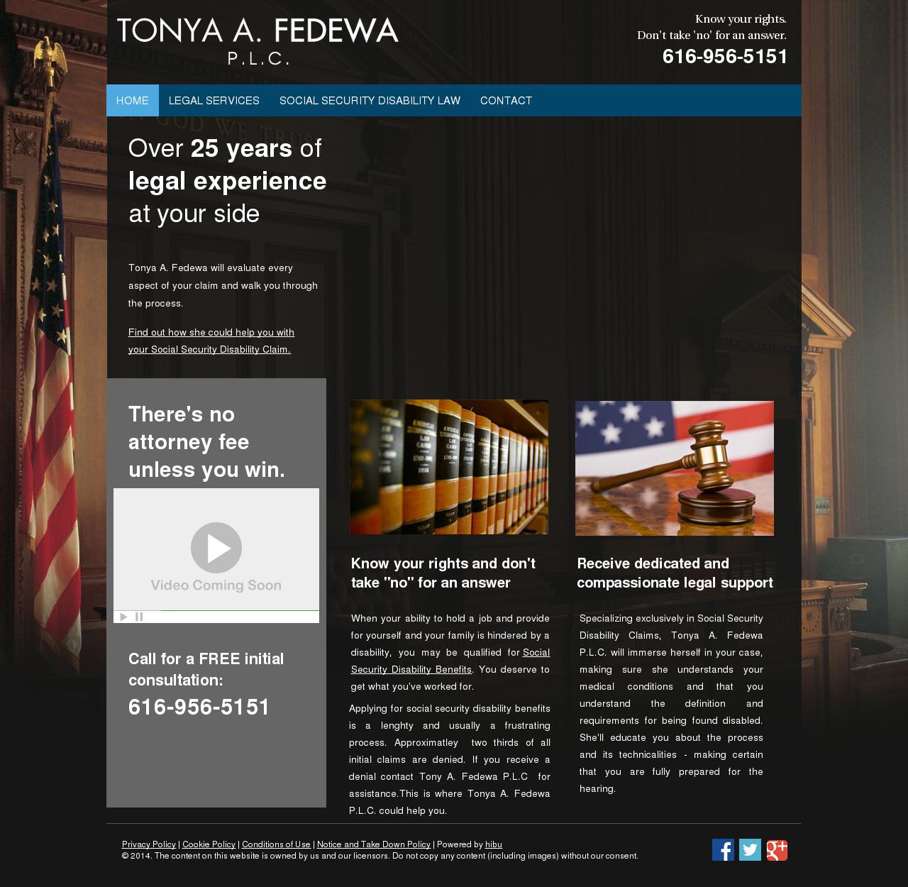 Fedewa, Tonya A PLC - Grand Rapids MI Lawyers