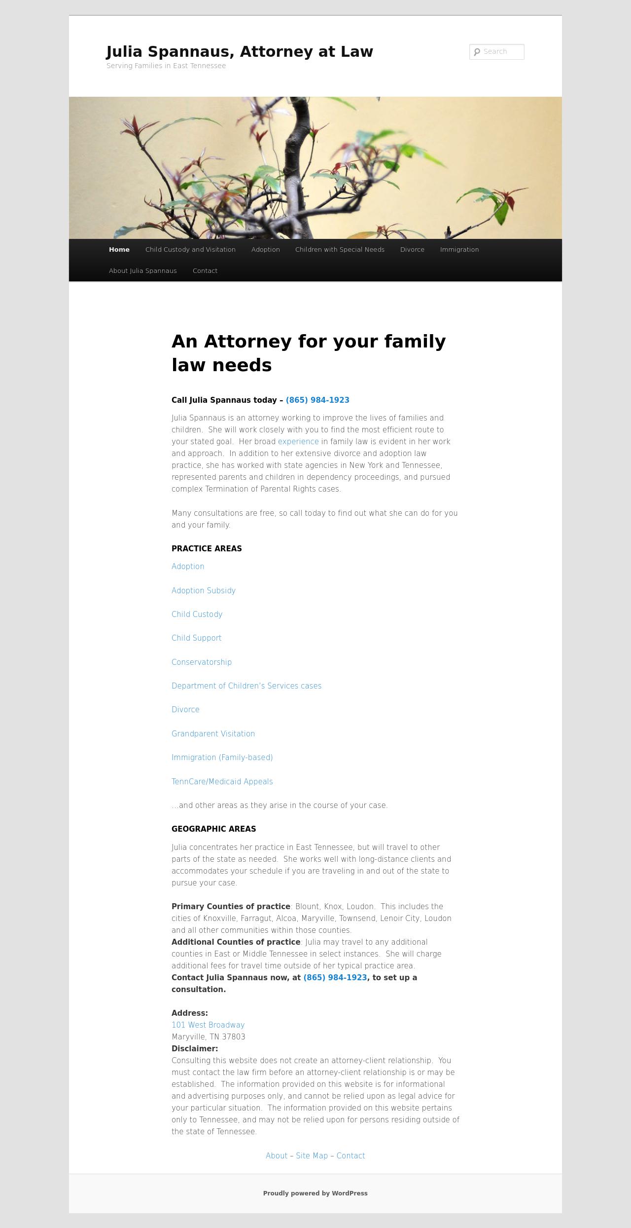 Julia Spannaus - Maryville TN Lawyers