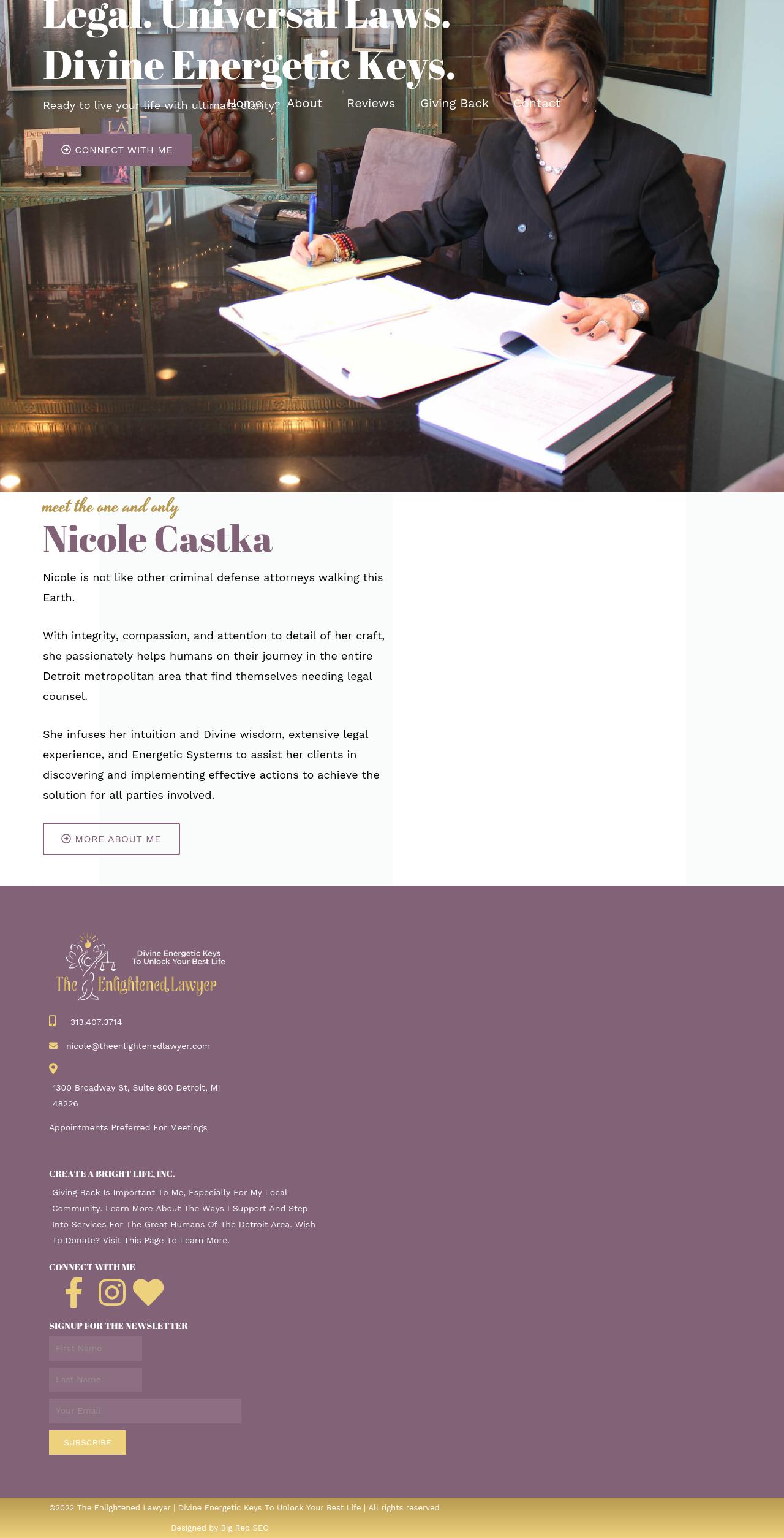 Law Office of Nicole L Castka PLLC - Detroit MI Lawyers