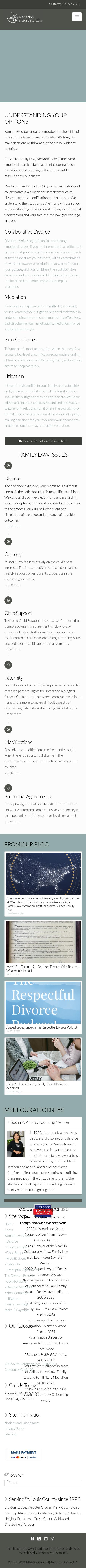 Amato, Susan L - Saint Louis MO Lawyers