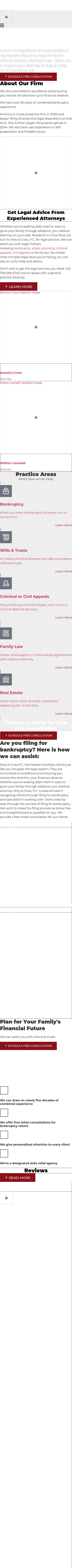 Arey William H PC - Columbus GA Lawyers