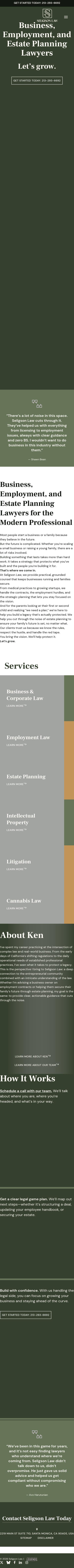 Seligson Law - Santa Monica CA Lawyers