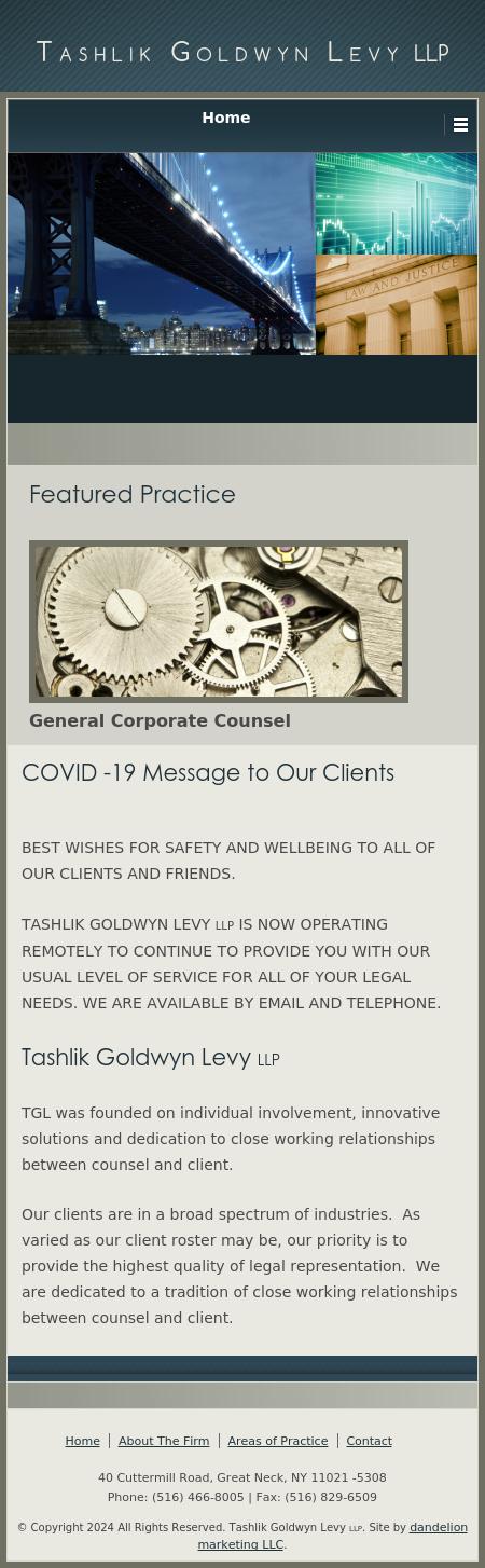 Tashlik Goldwyn Crandell Levy LLP - Great Neck NY Lawyers
