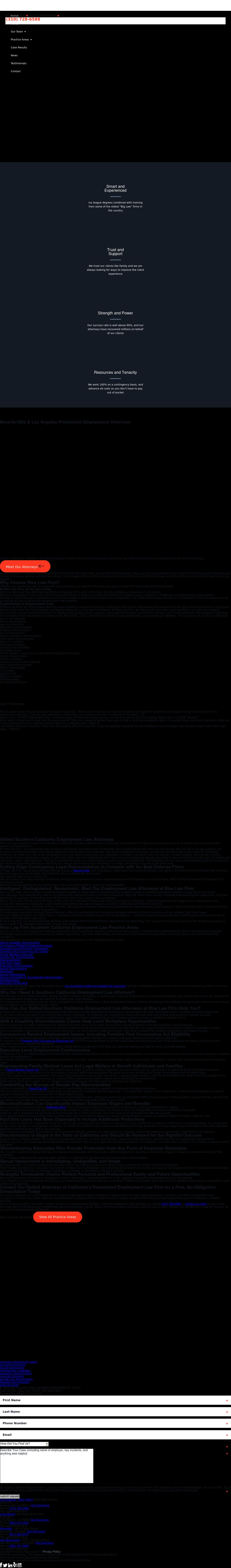Rise Law Firm, PC - Los Angeles CA Lawyers
