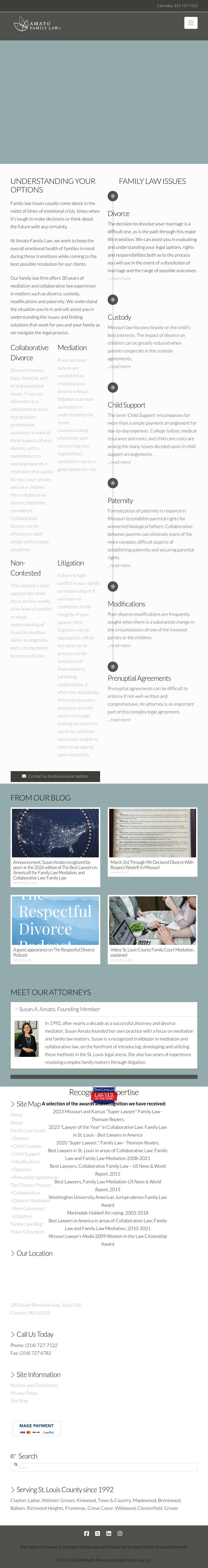 Amato, Susan L - Saint Louis MO Lawyers