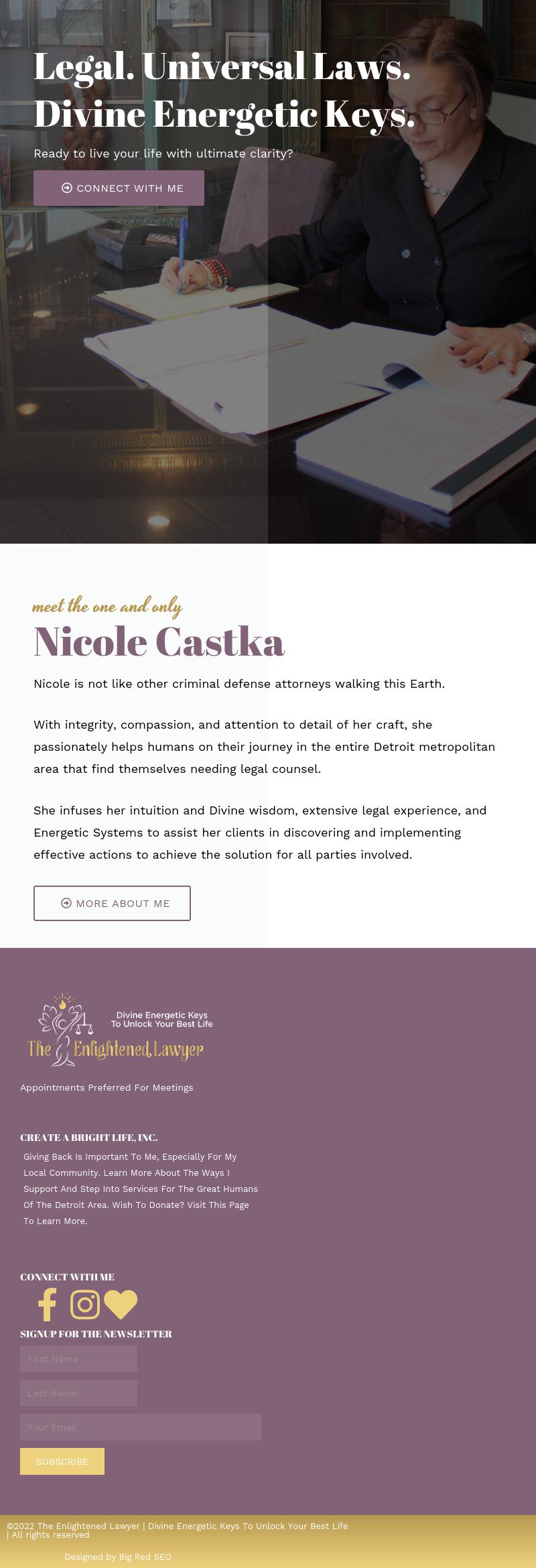 Law Office of Nicole L Castka PLLC - Detroit MI Lawyers