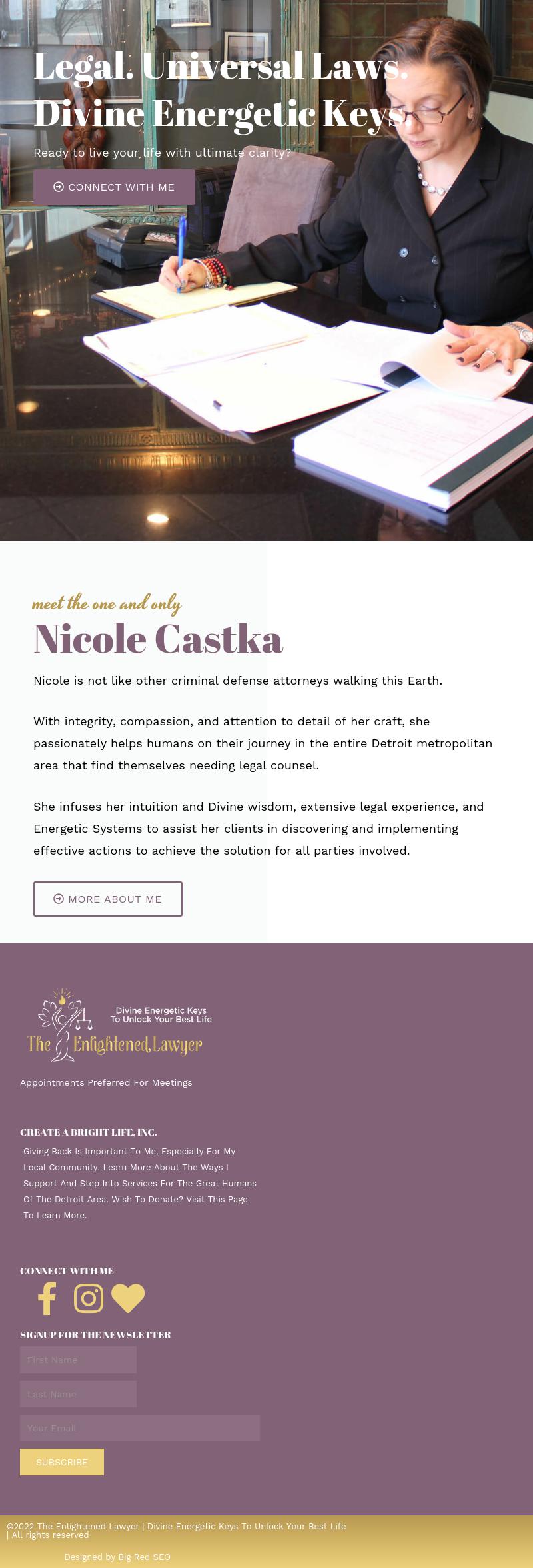 Law Office of Nicole L Castka PLLC - Detroit MI Lawyers