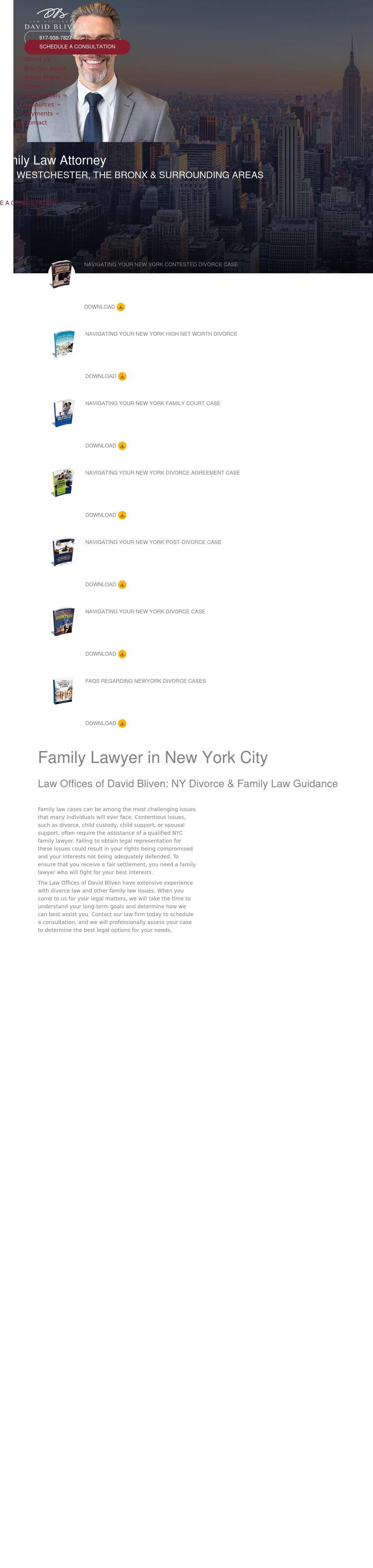 Law Offices of David Bliven - White Plains NY Lawyers