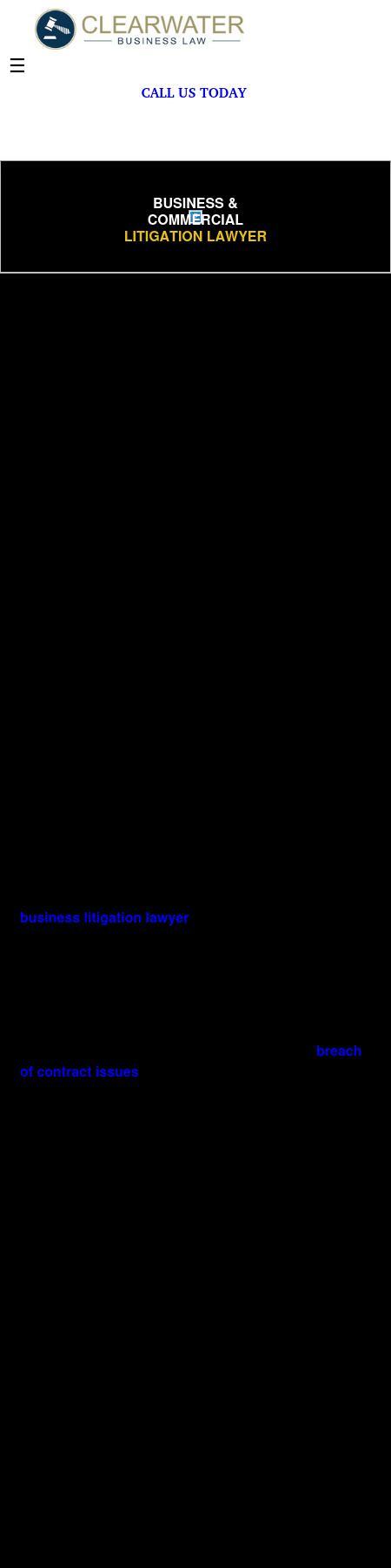 Clearwater Business Law - Clearwater FL Lawyers