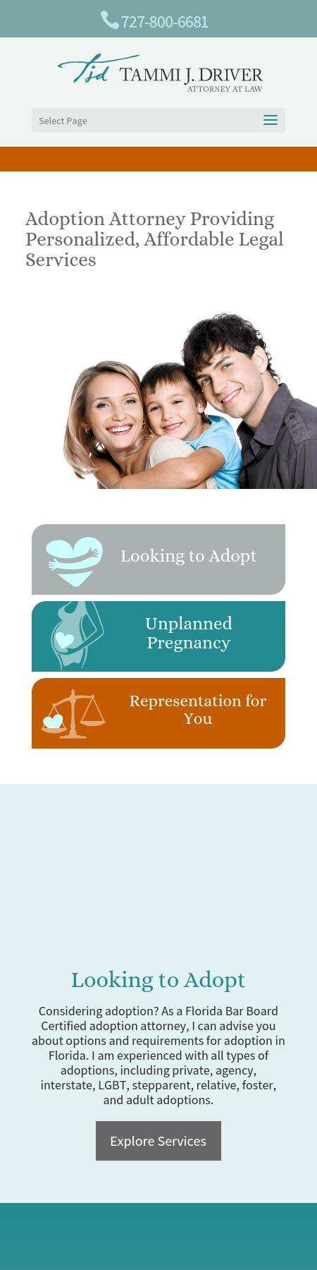 Law Office of Tammi J. Driver, P.L. - Saint Petersburg FL Lawyers