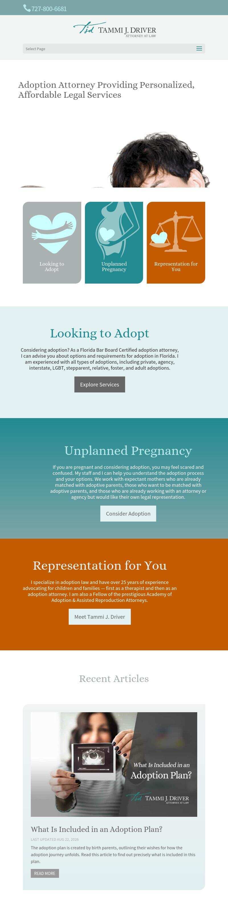 Law Office of Tammi J. Driver, P.L. - Saint Petersburg FL Lawyers
